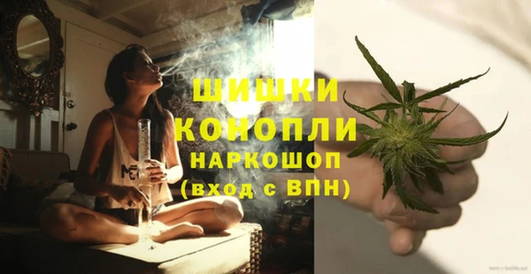 стафф Аркадак