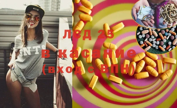 стафф Аркадак