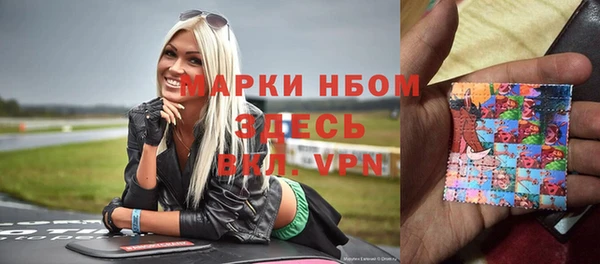 стафф Аркадак