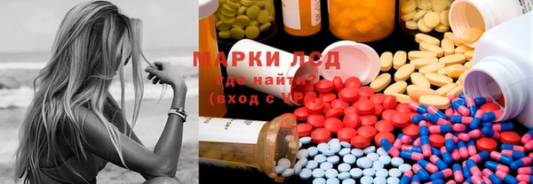 стафф Аркадак