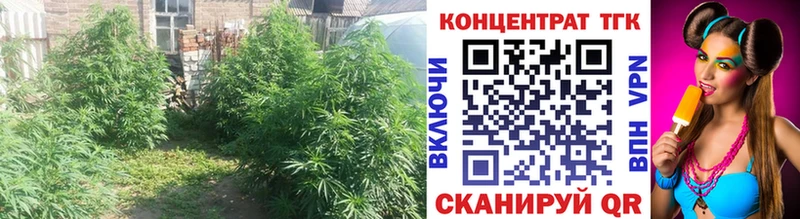 МЕГА зеркало Петухово Дистиллят ТГК вейп с тгк дарнет шоп